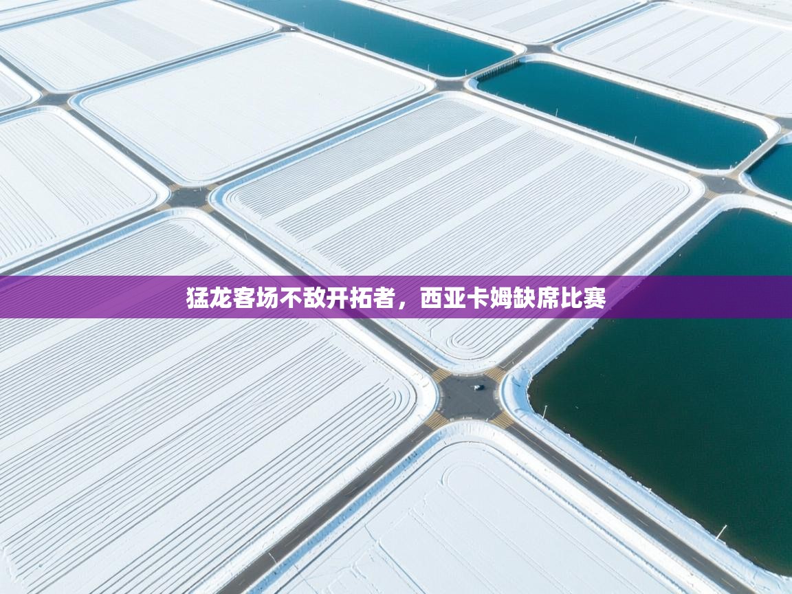 开云体育app官网入口-猛龙客场不敌开拓者,西亚卡姆缺席比赛 第4张