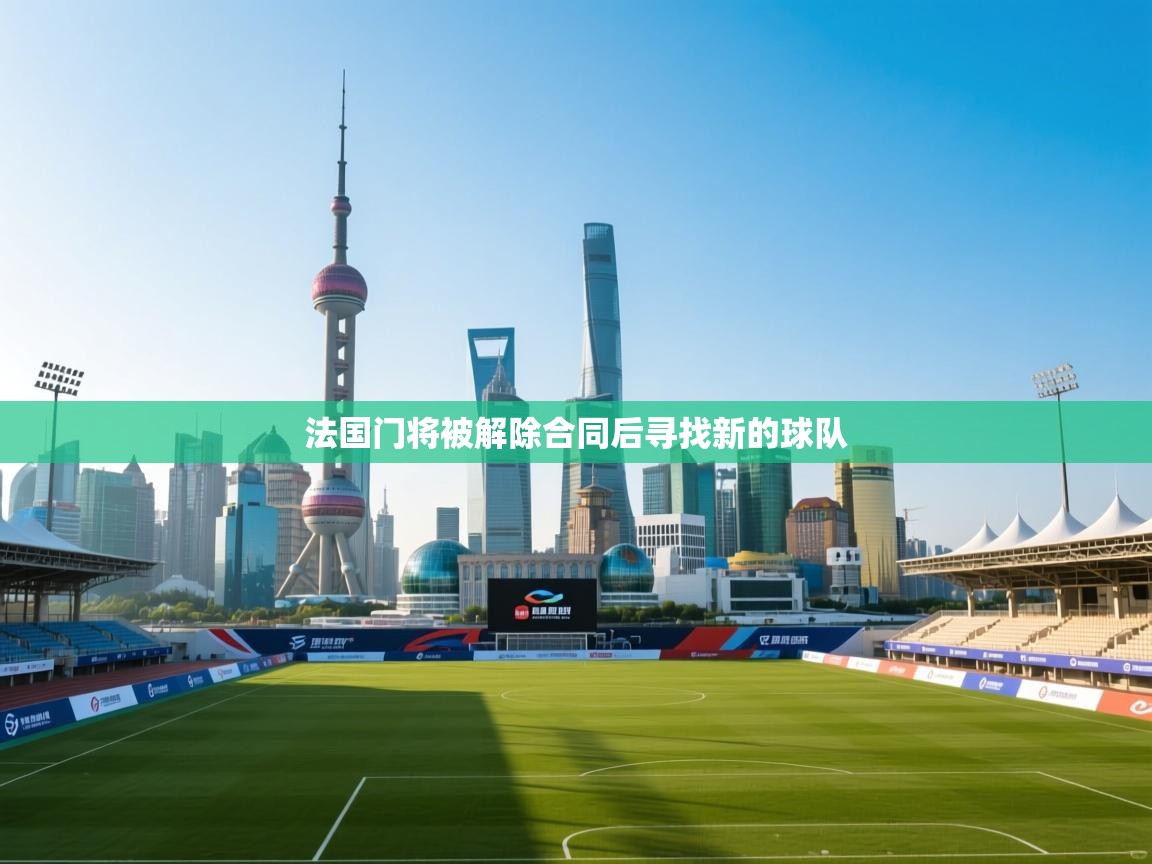 开云体育在线登录-法国门将被解除合同后寻找新的球队  第2张