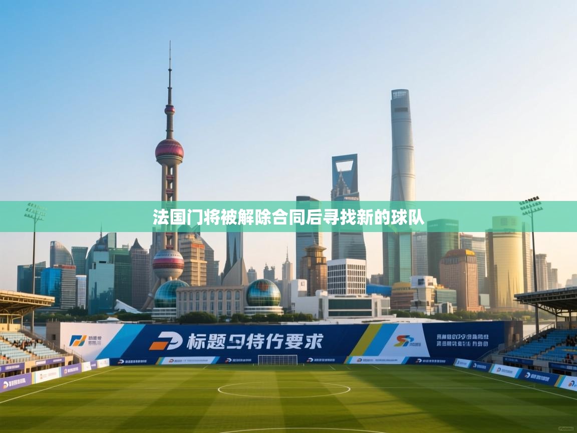 开云体育在线登录-法国门将被解除合同后寻找新的球队  第3张