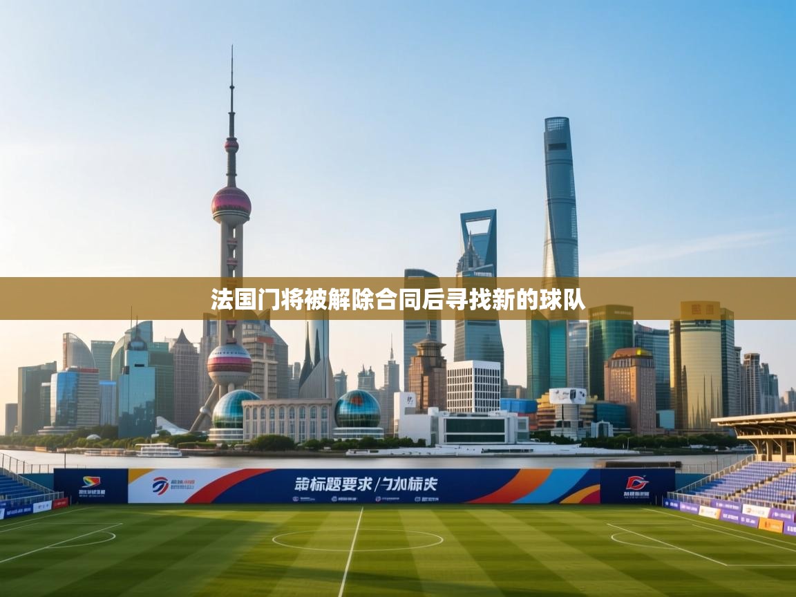 开云体育在线登录-法国门将被解除合同后寻找新的球队  第4张