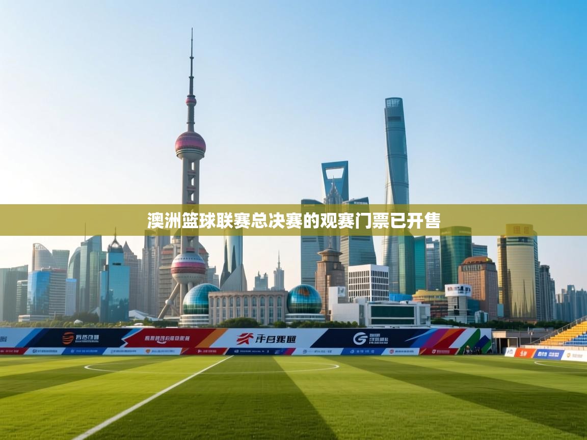 开云APP-澳洲篮球联赛总决赛的观赛门票已开售 第2张