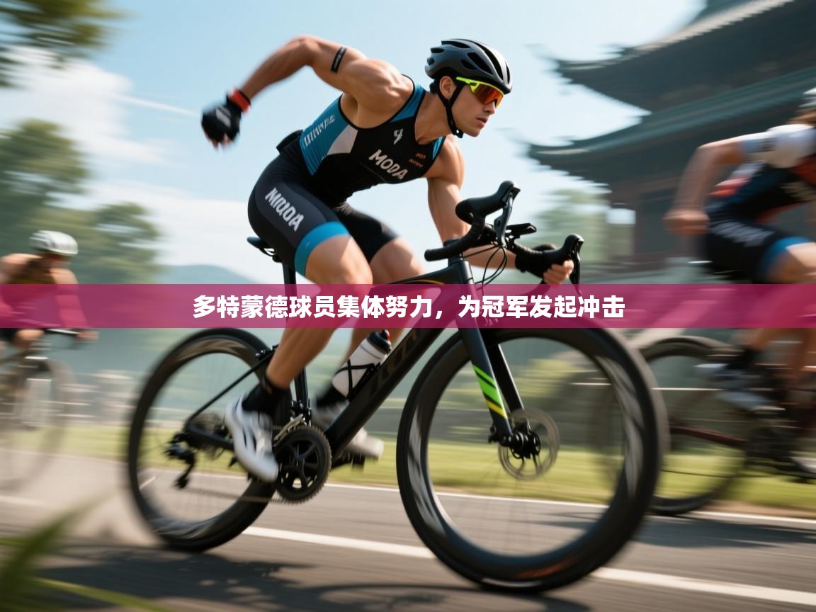 开云体育极速下载镜像-多特蒙德球员集体努力，为冠军发起冲击  第1张