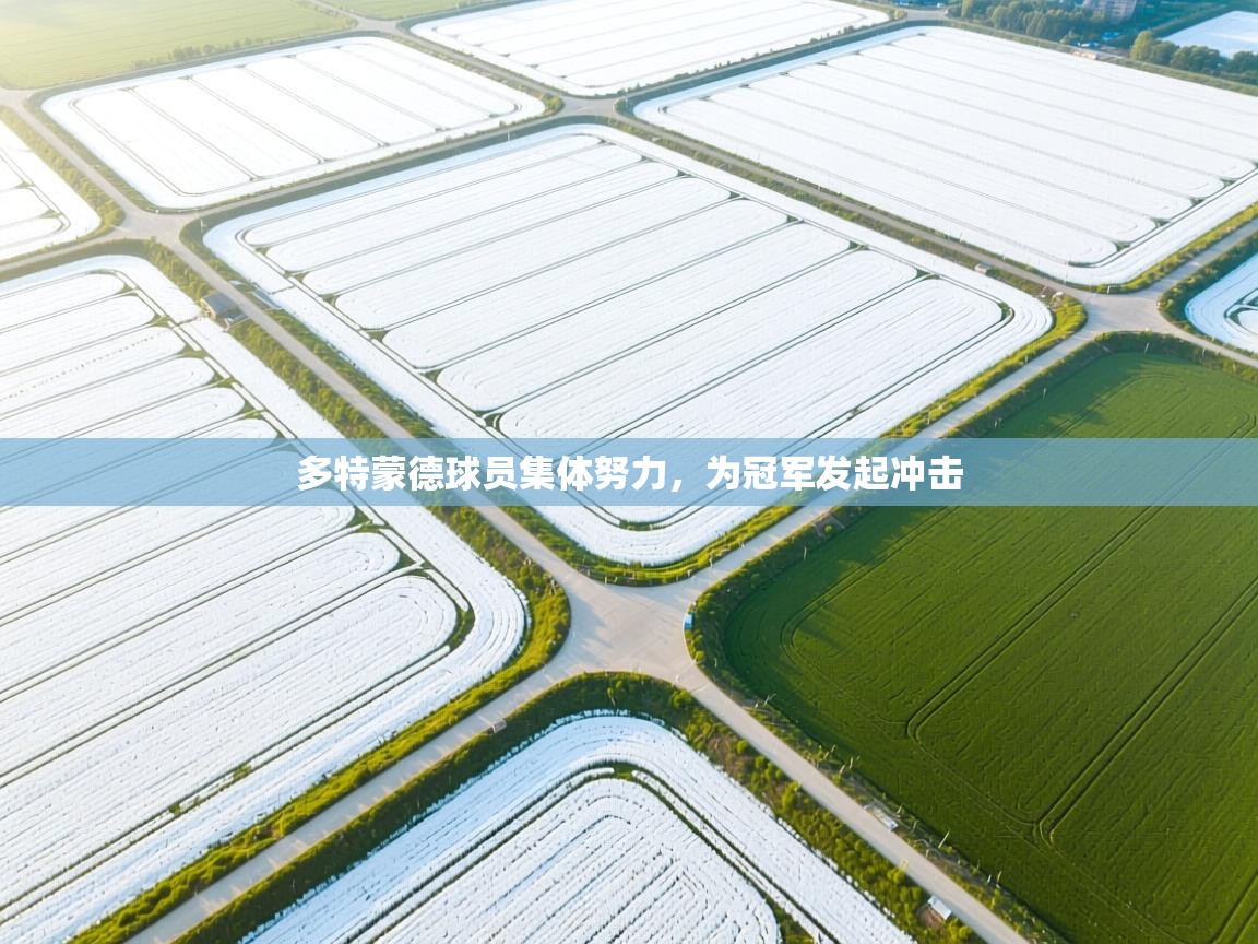 开云体育极速下载镜像-多特蒙德球员集体努力，为冠军发起冲击  第2张