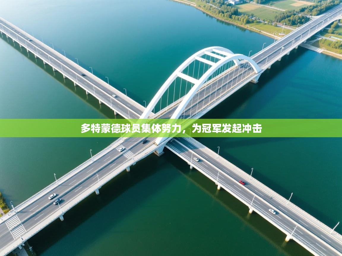 开云体育极速下载镜像-多特蒙德球员集体努力，为冠军发起冲击  第3张