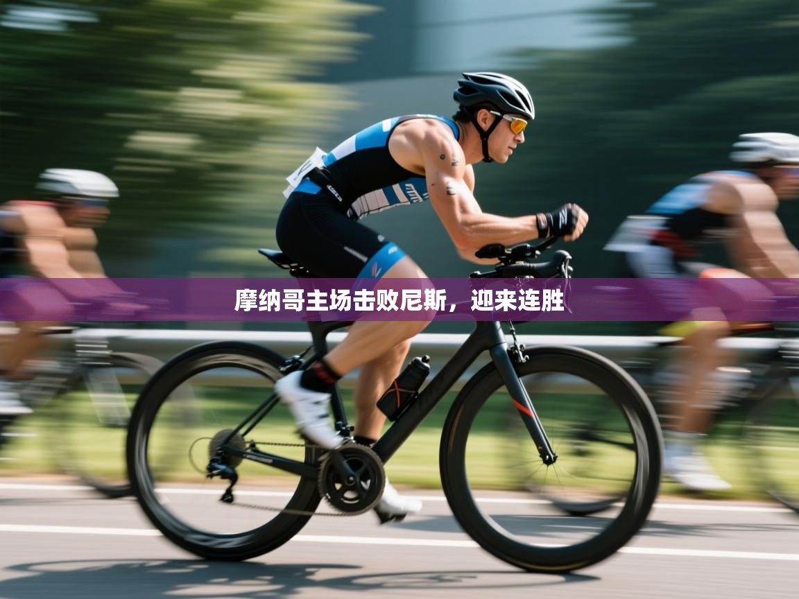 云开体育-摩纳哥主场击败尼斯，迎来连胜  第2张