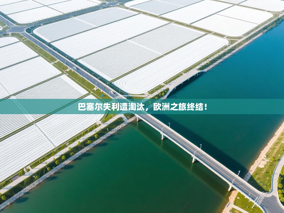 开云体育app-巴塞尔失利遭淘汰，欧洲之旅终结！  第1张