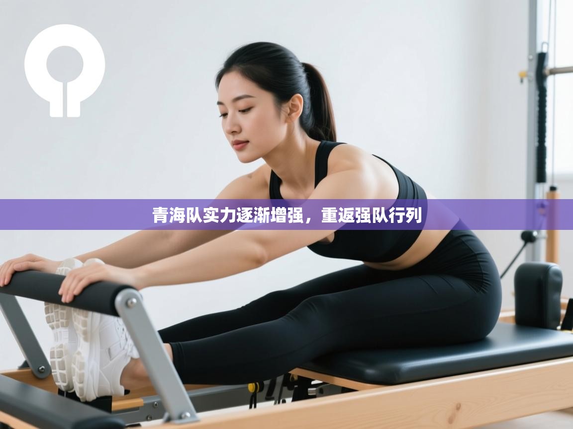 开云体育入口注册-青海队实力逐渐增强,重返强队行列 第2张