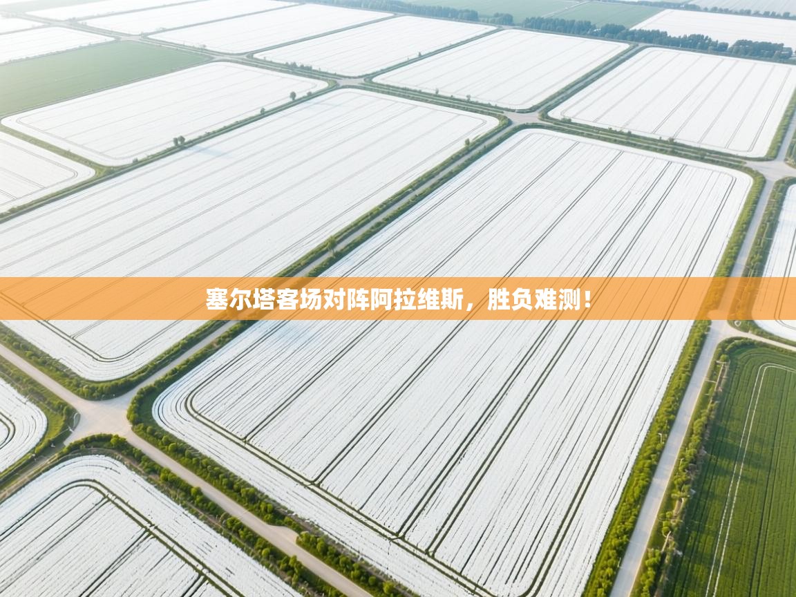 云开体育官方app下载-塞尔塔客场对阵阿拉维斯,胜负难测! 第1张