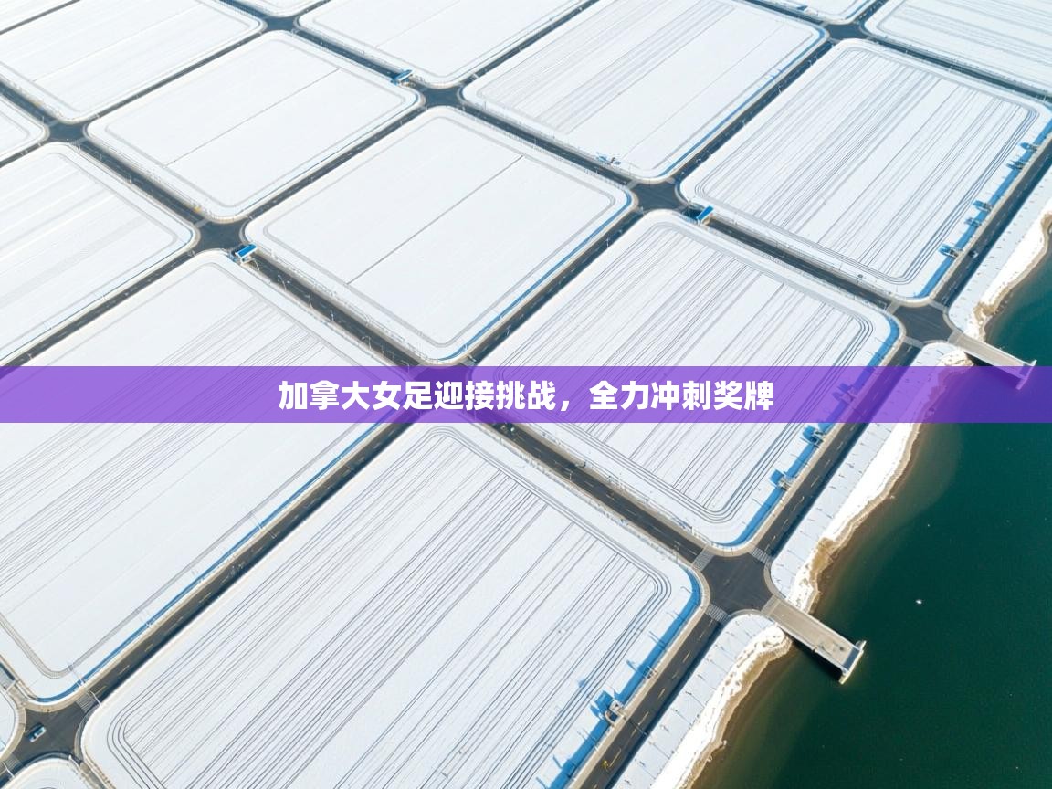 开云体育app安装-加拿大女足迎接挑战,全力冲刺奖牌 第1张