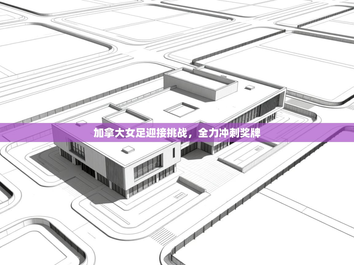 开云体育app安装-加拿大女足迎接挑战,全力冲刺奖牌 第2张