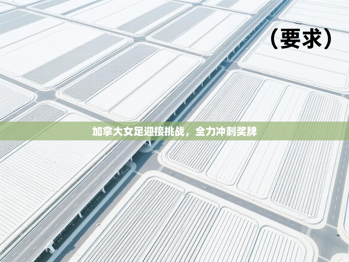 开云体育app安装-加拿大女足迎接挑战,全力冲刺奖牌 第4张