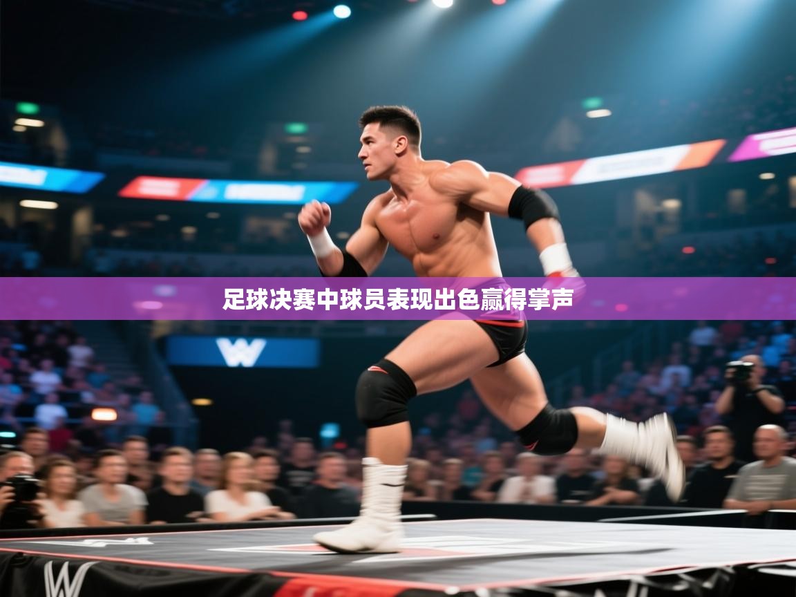 开云手机版-足球决赛中球员表现出色赢得掌声  第1张