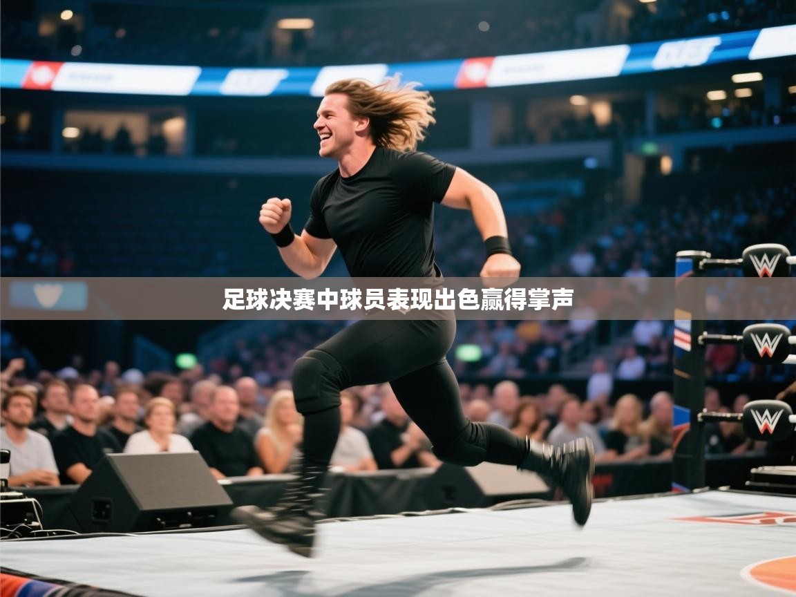 开云手机版-足球决赛中球员表现出色赢得掌声  第4张