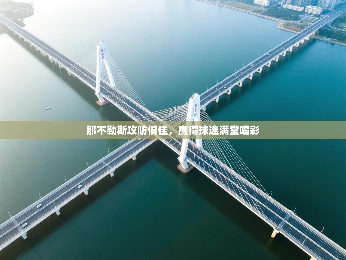 开云网页版-那不勒斯攻防俱佳,赢得球迷满堂喝彩 第1张