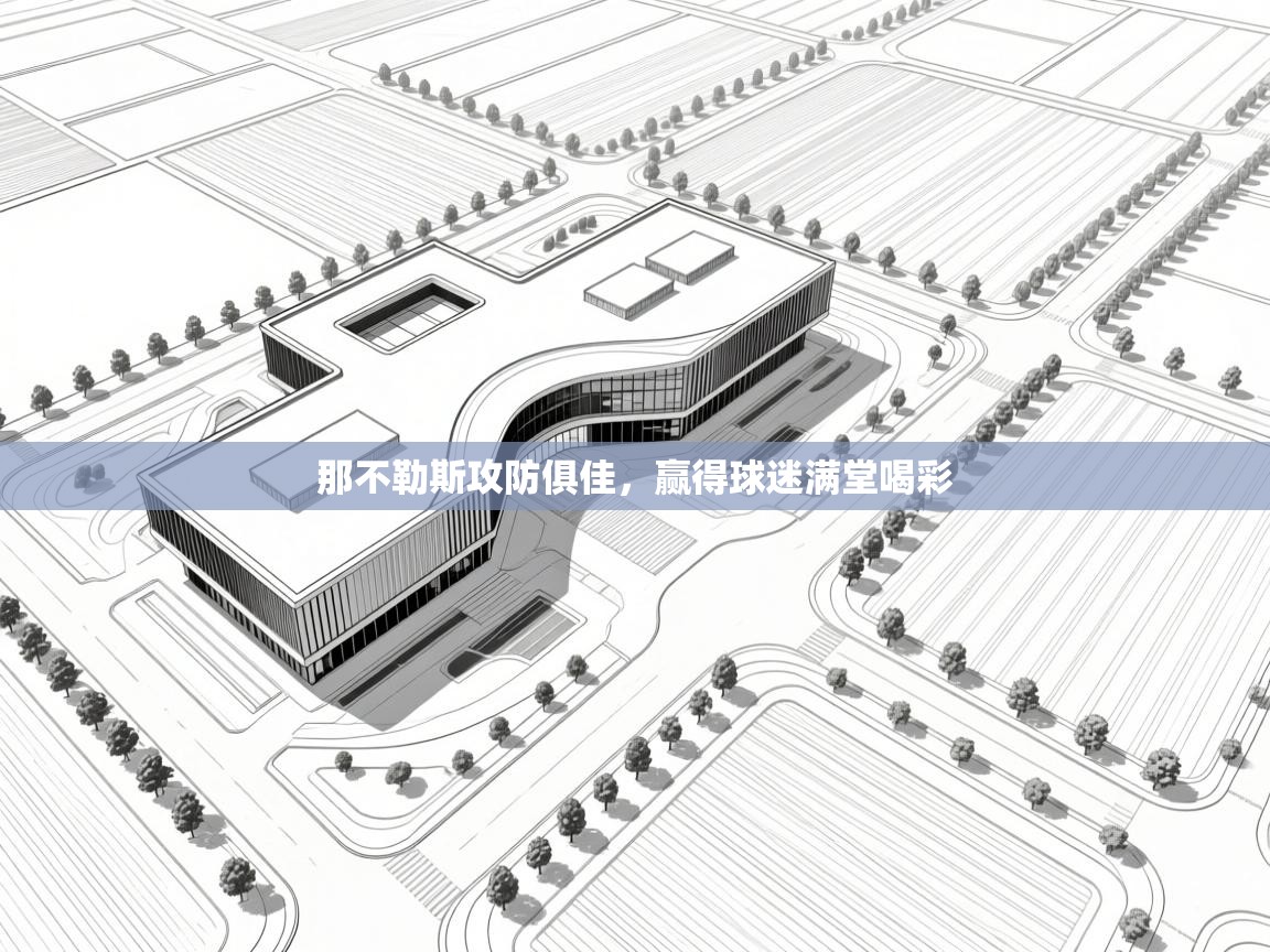 开云网页版-那不勒斯攻防俱佳,赢得球迷满堂喝彩 第3张