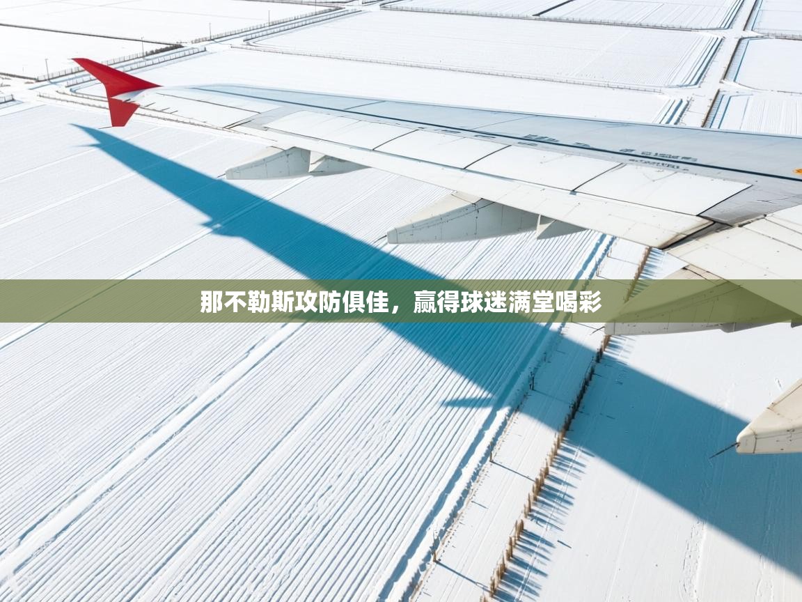 开云网页版-那不勒斯攻防俱佳,赢得球迷满堂喝彩 第2张