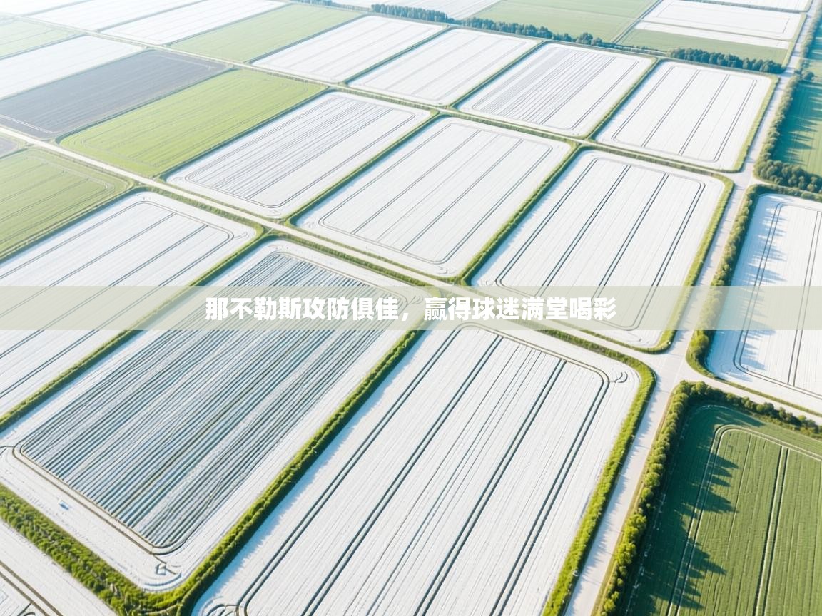 开云网页版-那不勒斯攻防俱佳,赢得球迷满堂喝彩 第4张