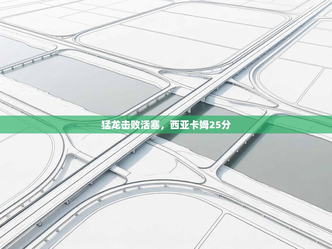 开云中国kaiyun·体育官方网站-猛龙击败活塞，西亚卡姆25分  第3张