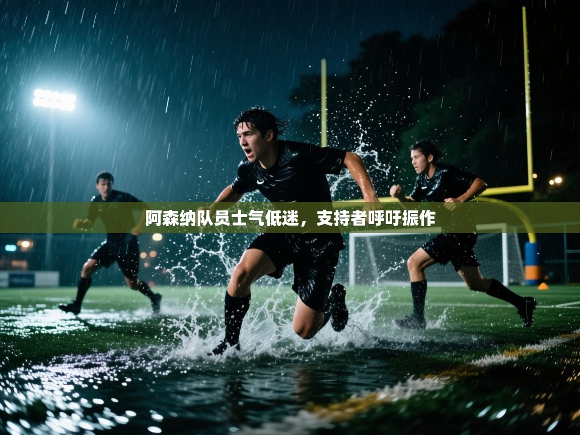 开云平台-阿森纳队员士气低迷,支持者呼吁振作 第3张