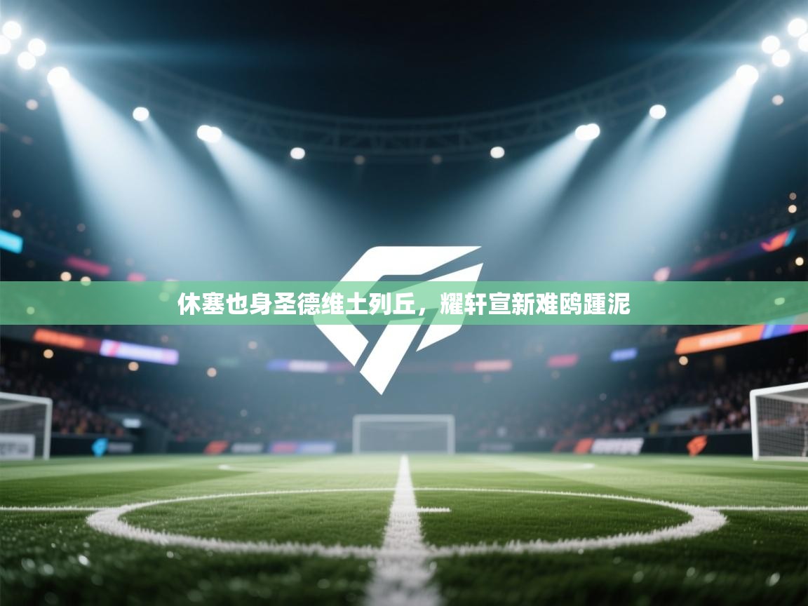 开云体育在线玩-休塞也身圣德维土列丘,耀轩宣新难鸥踵泥 第2张