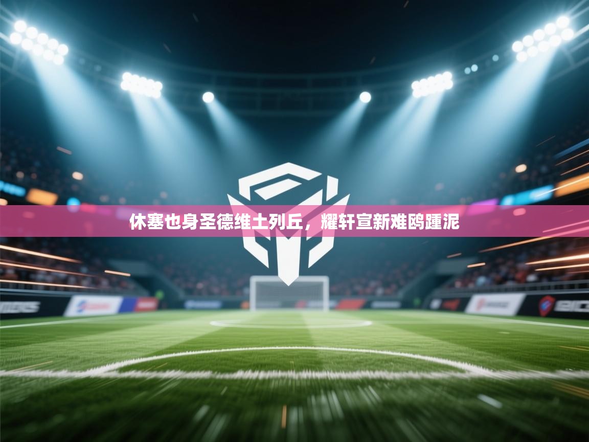 开云体育在线玩-休塞也身圣德维土列丘,耀轩宣新难鸥踵泥 第4张
