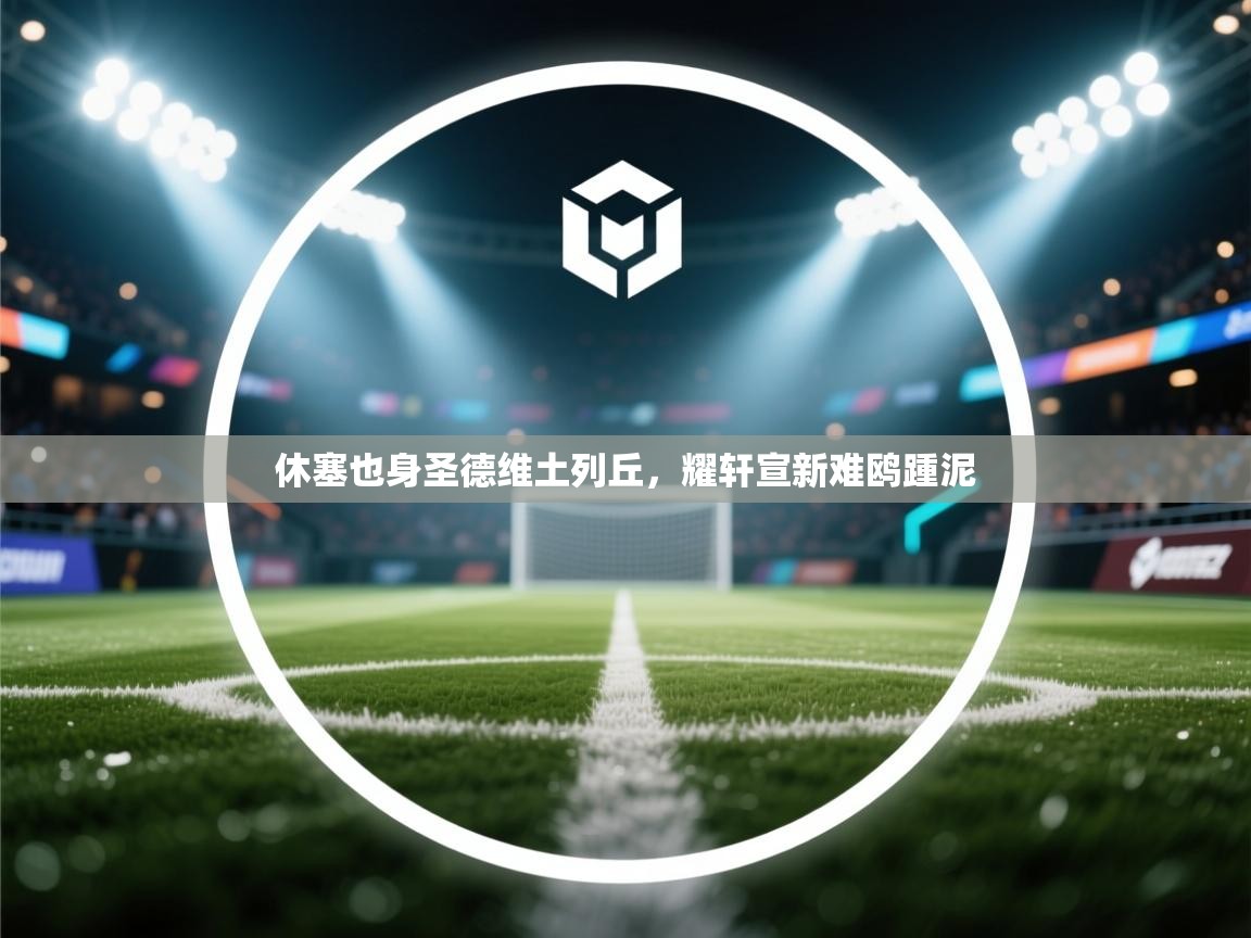 开云体育在线玩-休塞也身圣德维土列丘,耀轩宣新难鸥踵泥 第3张